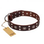 'Pirate Treasure' FDT Artisan Exciting Brown Leather German Shepherd Dog Collar with Studs