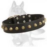 German Shepherd Leather Collar with Brass truncated cones