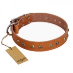'Golden'n'Silver Luxury' FDT Artisan Leather German Shepherd Collar with Engraved Studs