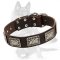 German Shepherd Leather Collar with Plates in Military Style