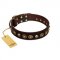 "Street Fashion" FDT Artisan Brown Leather German Shepherd Collar Adorned with Circles and Skulls