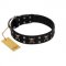 "Black Jack" Stylish Handmade FDT Artisan Black Leather German Shepherd Collar