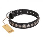 "Strict Elegance" FDT Artisan Black Leather German Shepherd Collar with Silvery Brooches