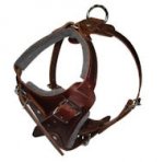 Hands Free Control Dog Harness for German Shepherd