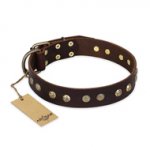 'Bronze Sheen' FDT Artisan German Shepherd Brown Leather Dog Collar with Old Bronze-Like Plated Studs - 1 1/2 inch (40 mm) wide