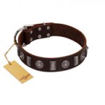 "Spiky Way" FDT Artisan Brown Leather German Shepherd Collar with Silver-Like Decorations