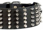 Spiked and Studded German Shepherd Collar