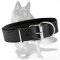 Leather Dog Collar padded with thick felt 1 1/2 inch (40 mm) in width