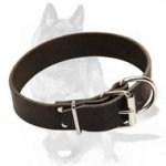 Strong 1 1/2inch(40m) Wide Leather Dog Collar for Shepherds