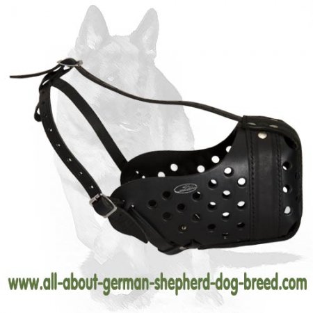 'Scouters Revolution' - Leather Dog Muzzle "Dondi"-Plus Style for German Shepherd