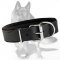 Padded Leather Collar for German Shepherd
