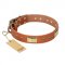 'Enchanting Spectacle' FDT Artisan German Shepherd Tan Leather Dog Collar with Golden-Like Studs - 1 1/2 inch (40 mm) wide