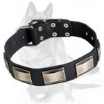 Designer Dog Collar with carved metal plates for German Shepherd