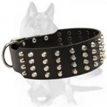 Wide Studded Leather Dog Collar for German Shepherd