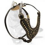 Royal Dog Harness - Exclusive Design Studded Leather Harness