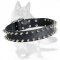 German Shepherd Leather Spiked Dog Collar