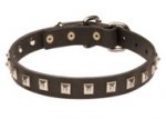 Studded Leather Collar for German Shepherd