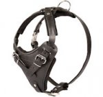 Black Leather Dog Harness for German Shepherd