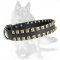 Exclusive Leather Collar with Golden-like Square Studs for German Shepherd