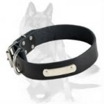 Leather German Shepherd Collar for Easy Identification