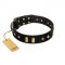 "De Luxe" FDT Artisan Black Leather German Shepherd Collar with Old Bronze-like Plates and Studs