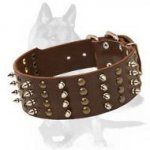 Wonderful Spiked & Studded Leather German Shepherd Dog Collar