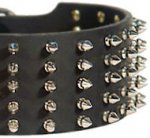 Spiked Leather Dog Collar for German Shepherd
