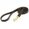 Rescue Leather Leash for German Shepherd