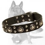 German Shepherd Chic Studded Leather Dog Collar
