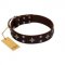 "Trendy Candy" FDT Artisan Brown Leather German Shepherd Collar Adorned with Stars and Tiny Squares