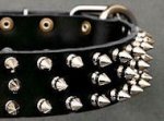 Canine Deluxe Spiked Leather Dog Collar for German Shepherd