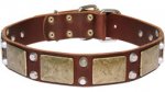 Vintage Leather Mastiff Collar with Golden-like Plates and Cones