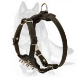 German Shepherd Leather Puppy Harness with Spiked Chest