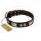 "Baller Status" FDT Artisan Brown Leather German Shepherd Collar Adorned with a Set of Chrome Plated Studs and Plates