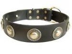 German Shepherd Leather Dog Collar with silver conchos