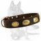 Gorgeous Vintage Leather Collar for German Shepherd Dog