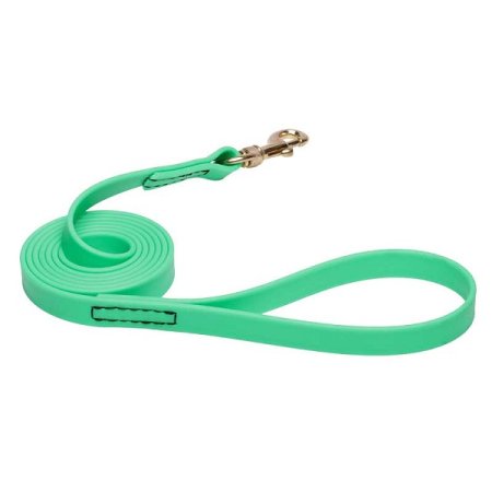 Green Waterproof German Shepherd Leash Made of Biothane