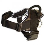 Hug a dog harness for German Shepherd