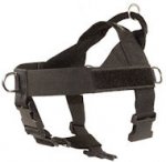 Nylon Companion Safety Harness for German Shepherd