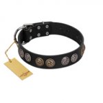 "Mister Exclusive" Designer FDT Artisan Black Leather German Shepherd Collar with Medallions