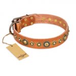 'Feast of Luxury' FDT Artisan German Shepherd Tan Leather Dog Collar with Old Bronze-Like Plated Studs - 1 1/2 inch (40 mm) wide
