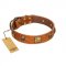 "Knights Templar" FDT Artisan Tan Leather German Shepherd Collar with Skulls and Crossbones Combined with Squares