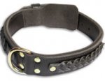 Custom black collar 25'' Alsatian Dog/25 inch dog collar-C55s33