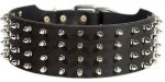 Dazzling Spiked Leather Collar for German Shepherd