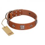 "Lucky Star" FDT Artisan Tan Leather German Shepherd Collar with Silver-Like Embellishments