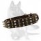 Incredible Studded Dog Collar for German Shepherd Dog