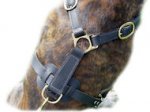 Ultimate Tracking Harness for German Shepherd