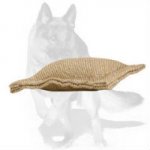 Puppy Jute Bite Tug Without Handles