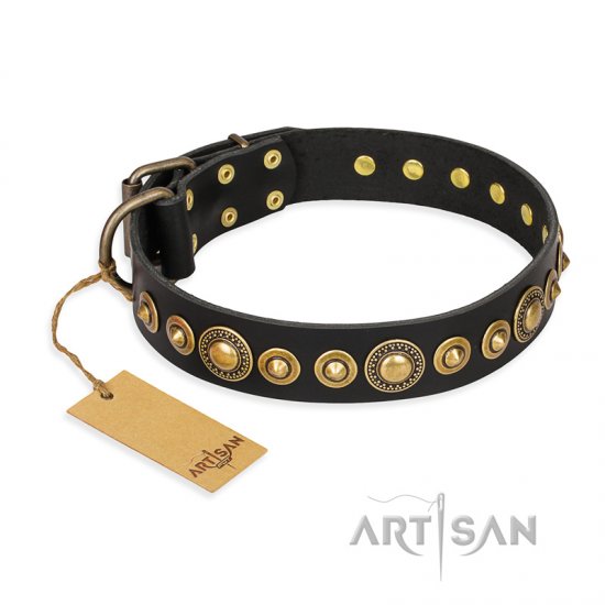 gold plated dog collar