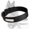 Lightweight 2 Ply Nylon Dog Collar with Metal Name Plate for Identification